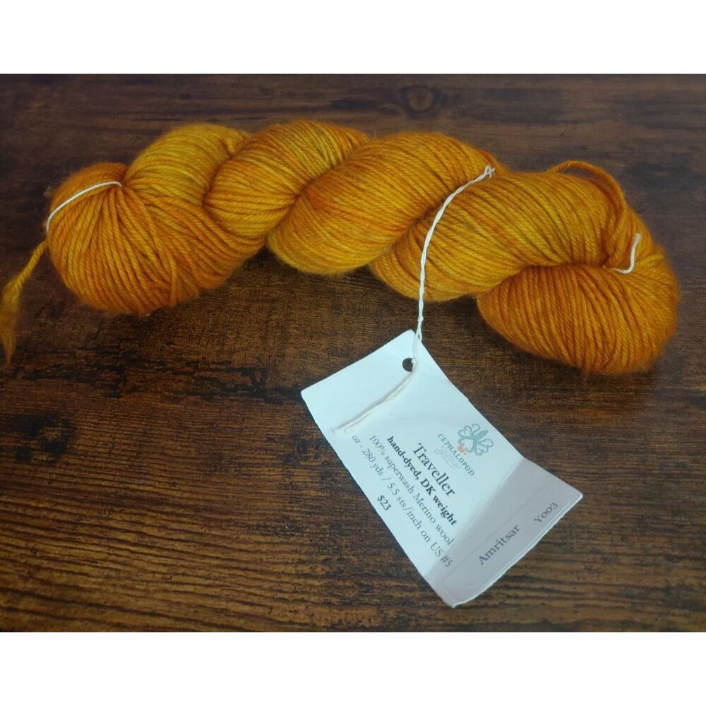 Cephalopod Yarns Traveller Superwash Wool Hand Dyed DK Weight Yarn 1 Skein